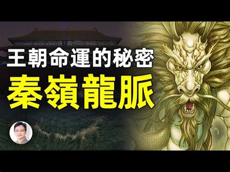 龍脈 意思|龍脈：中國文化瑰寶